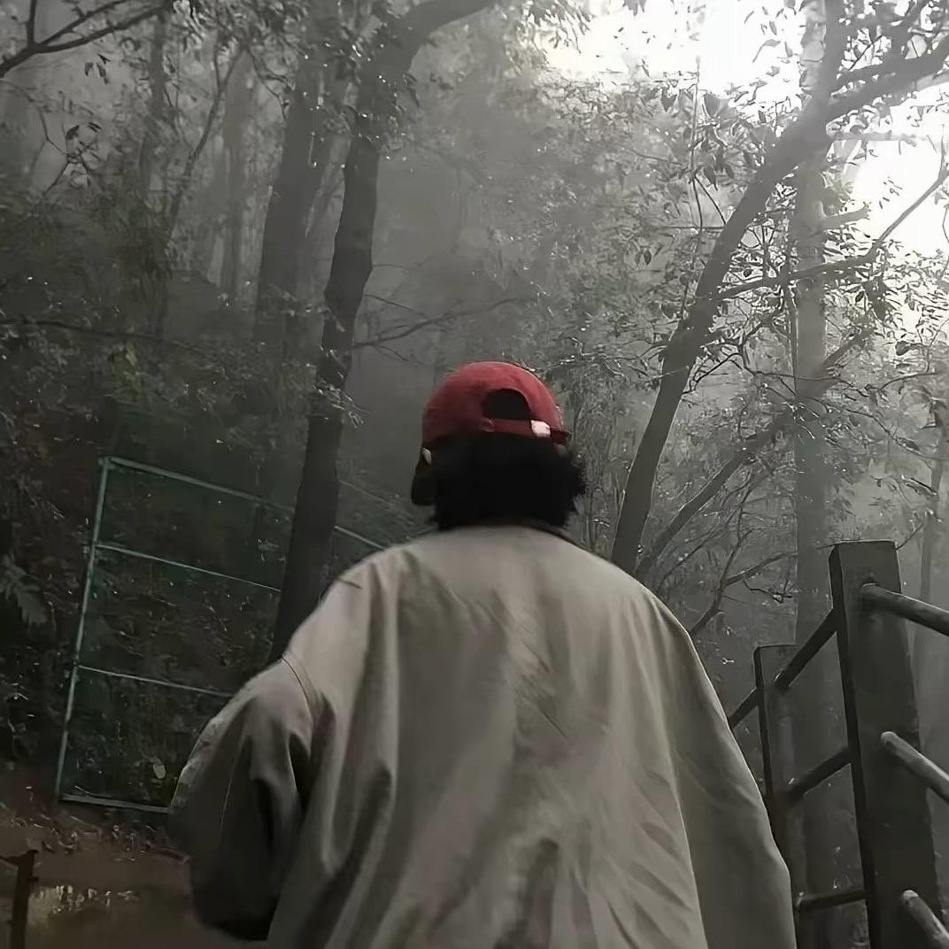 断秋枫
