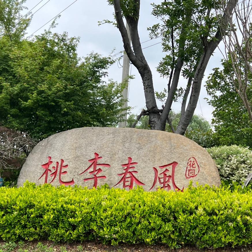 桃李春风