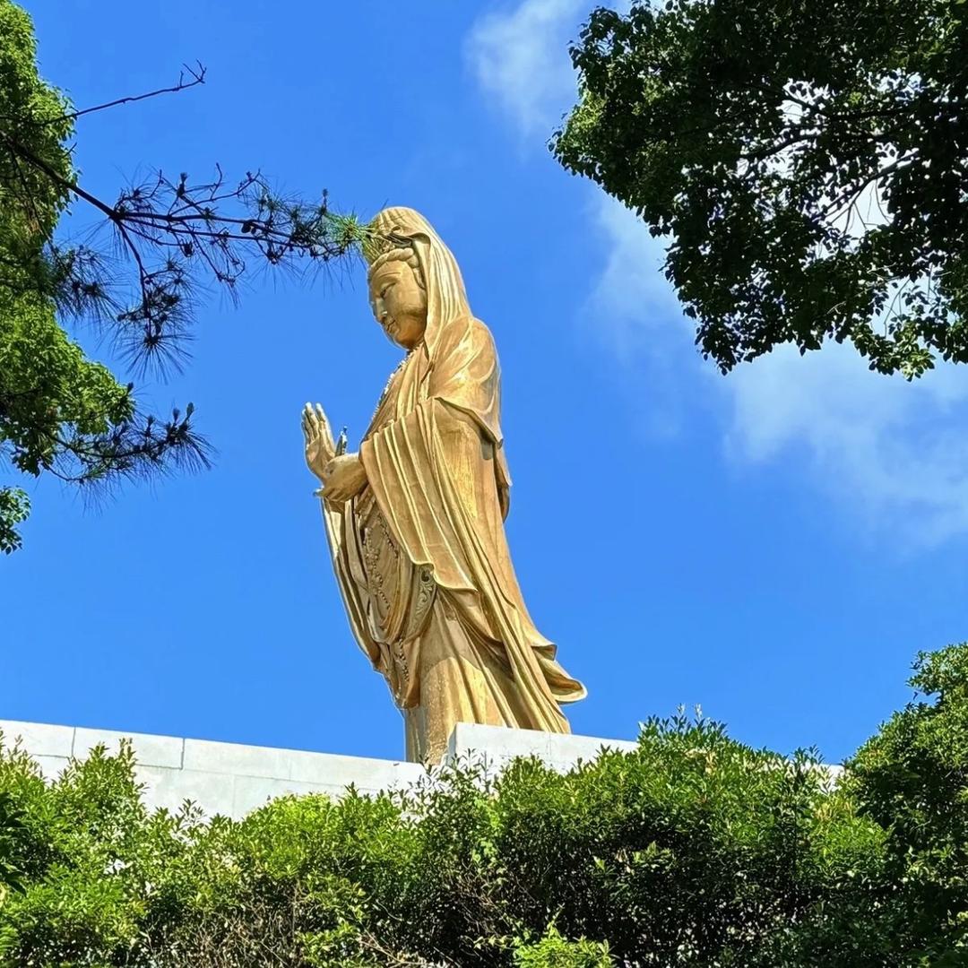 权衡利弊