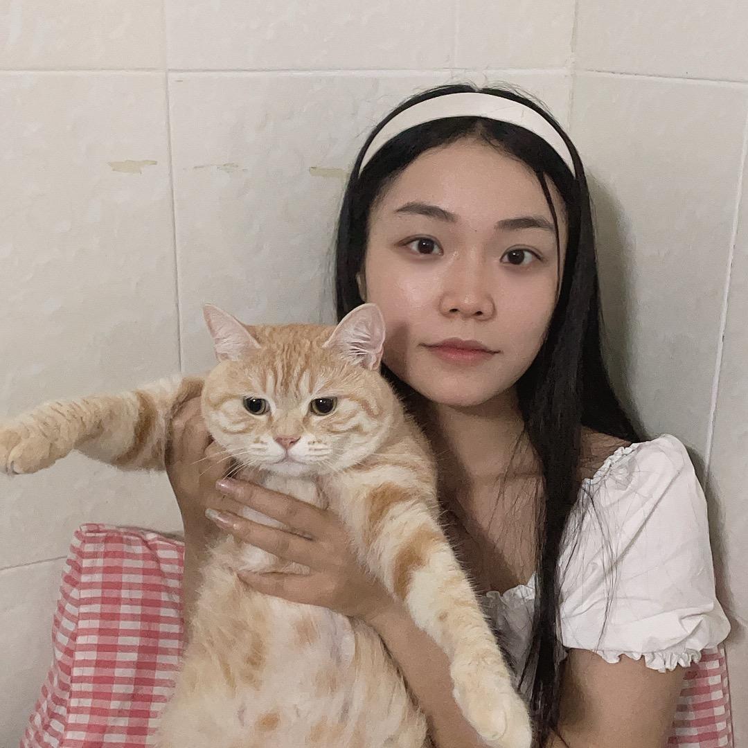 阁楼有只猫-