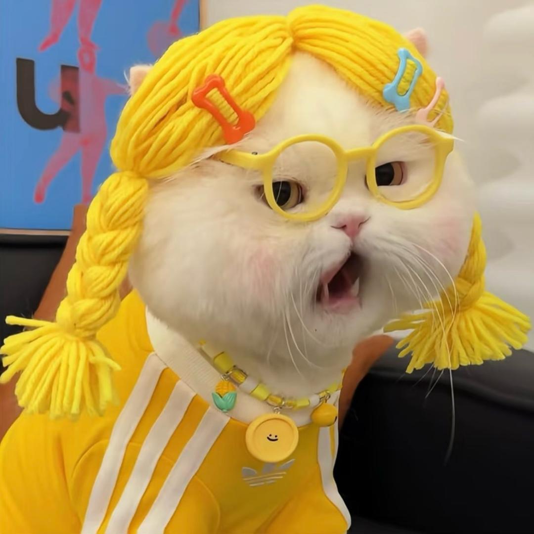 神秘女子