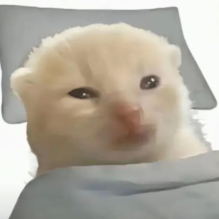 An21