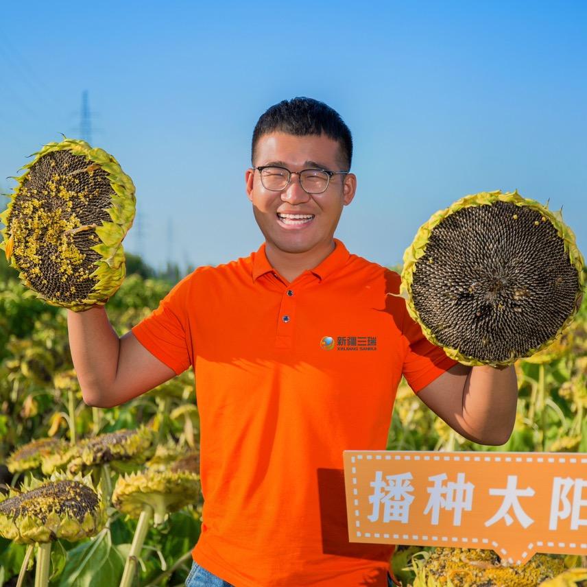 丰向标（原名新疆三瑞）