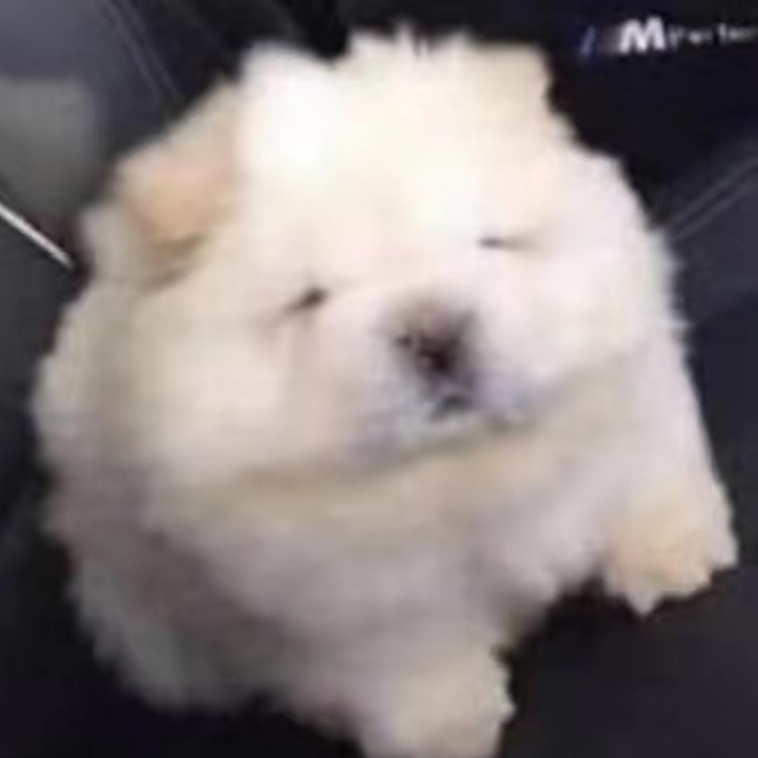 伊藤润二