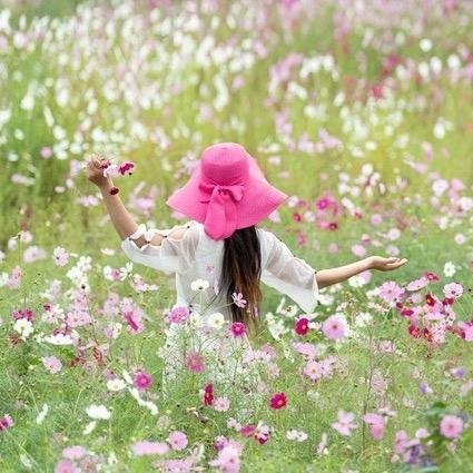 贝贝优选（橱窗）