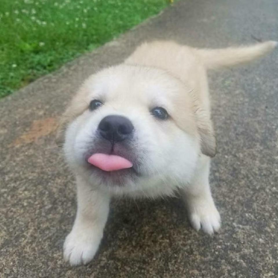 低谷界碑