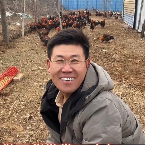 老李散养鸡