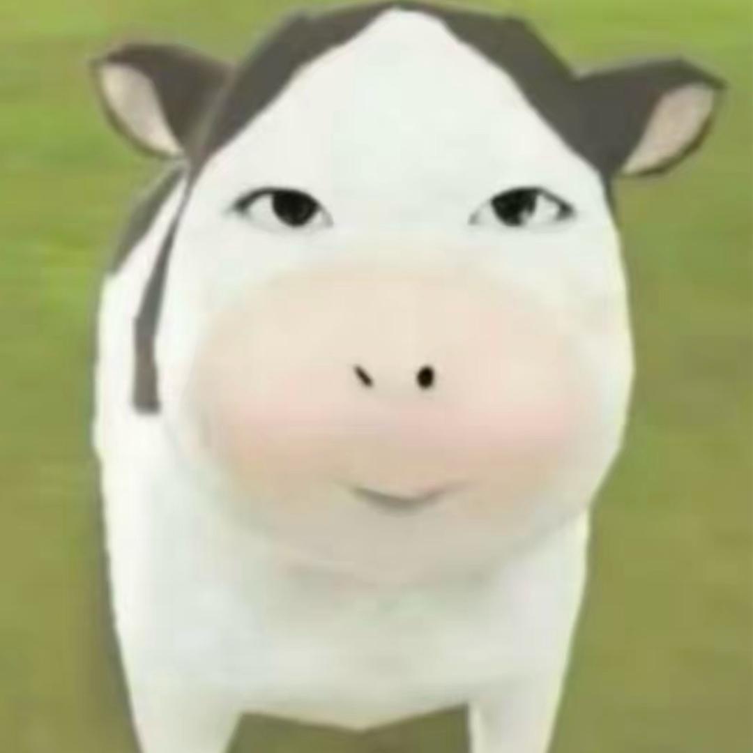 呆