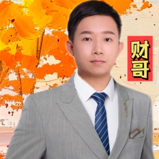 财哥-咨询