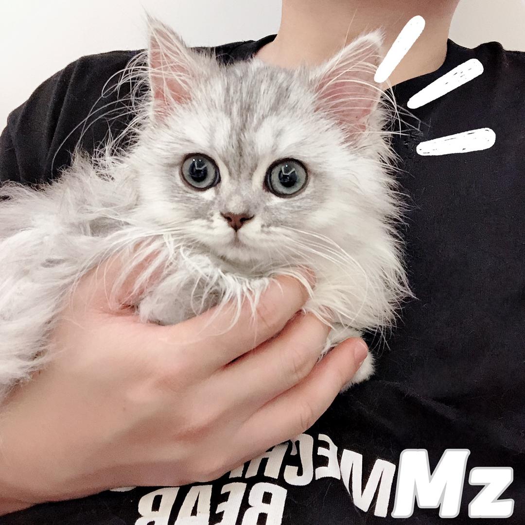 米粥抓娃娃啦@抖音