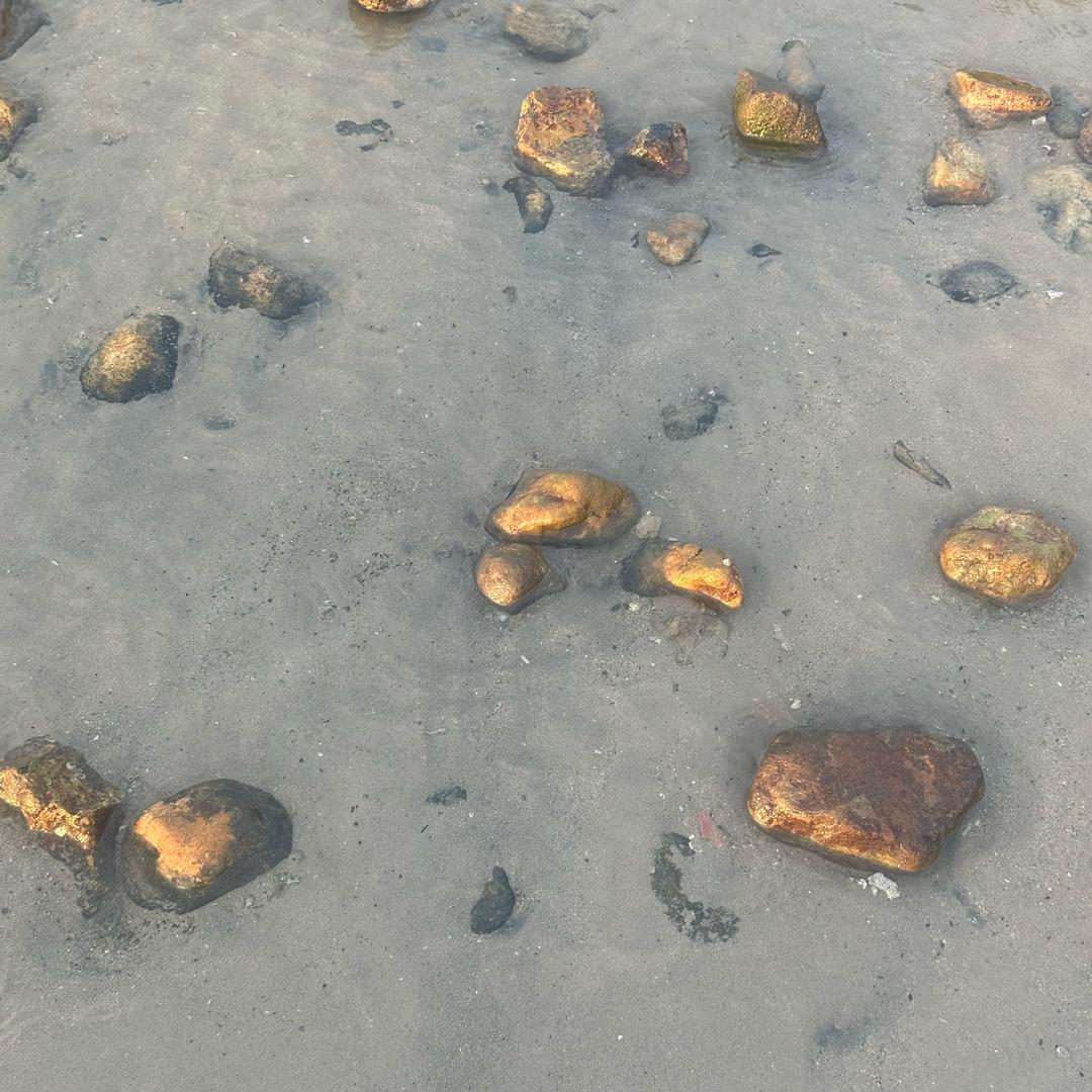 Water