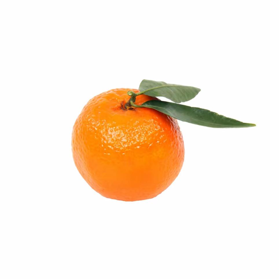 橙子