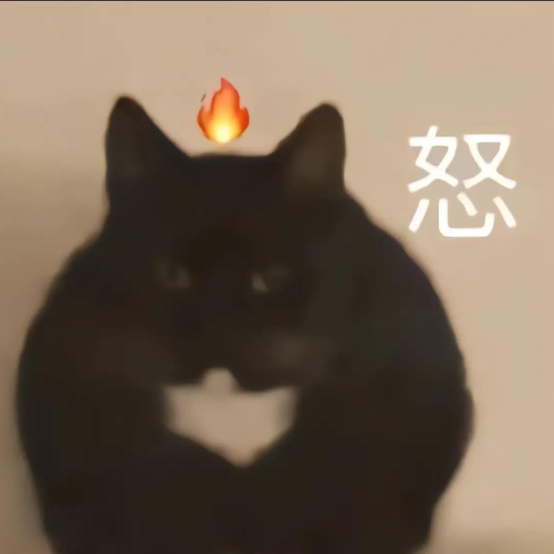 🐈喵喵酱