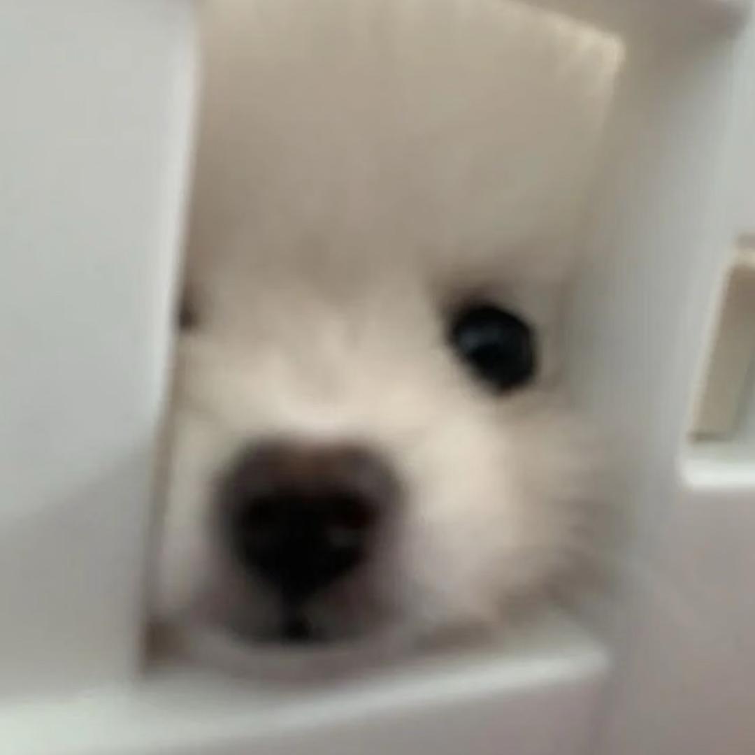 今天不熬夜