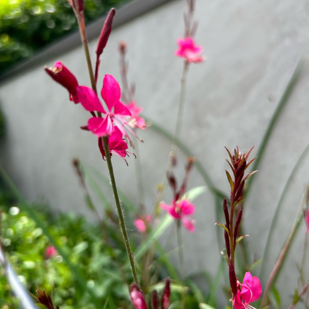 零点