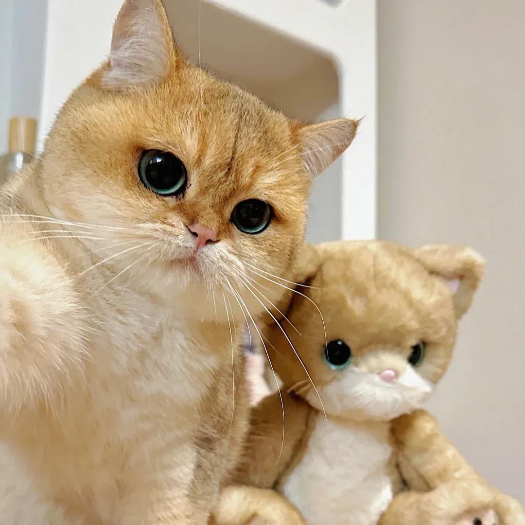 Miz的早饭日记🥣