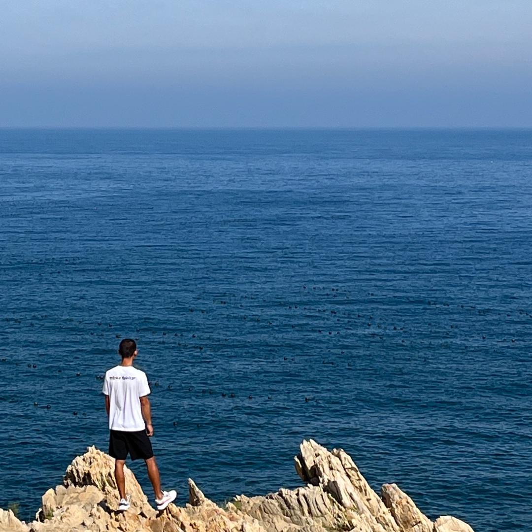 一本正经地胡说