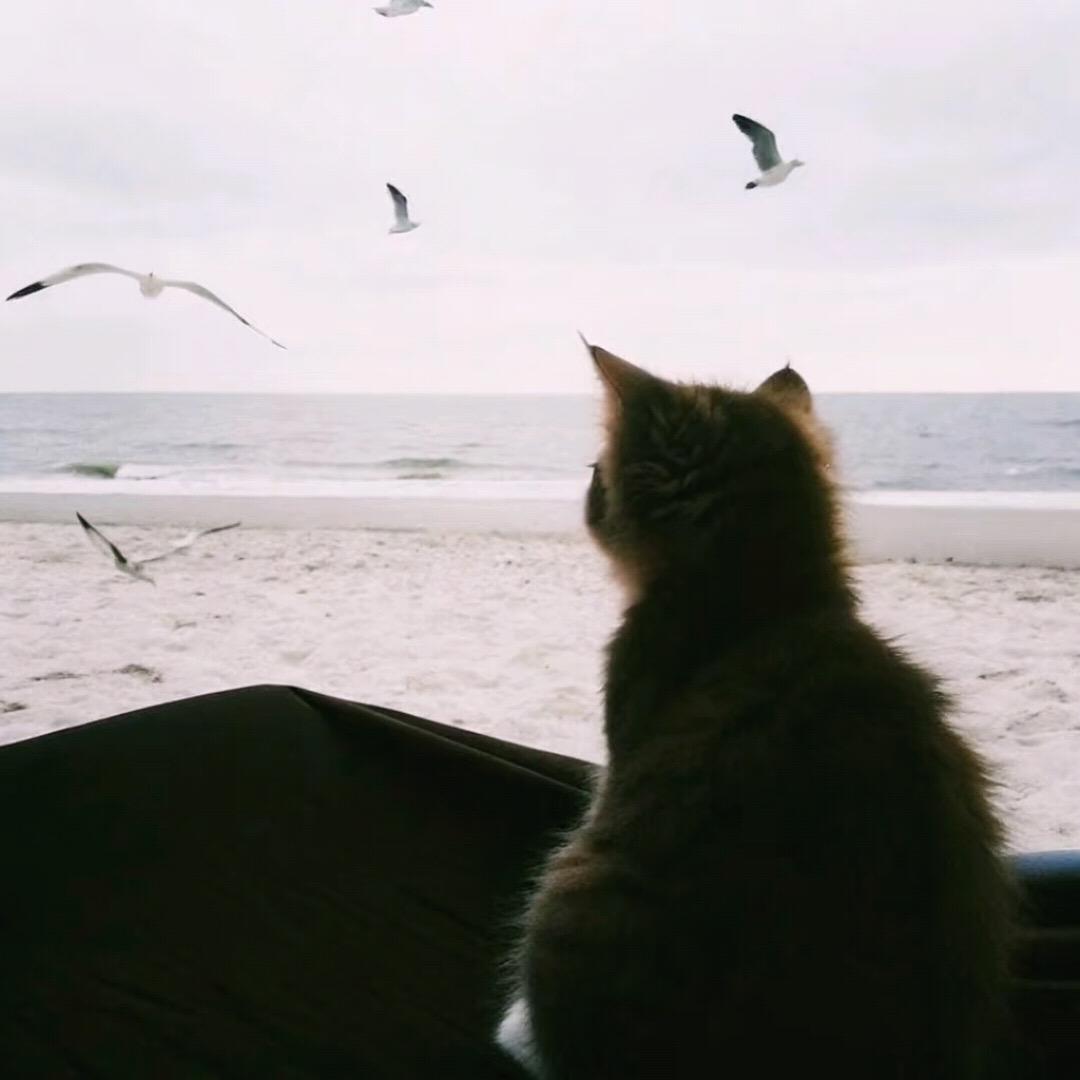 ···