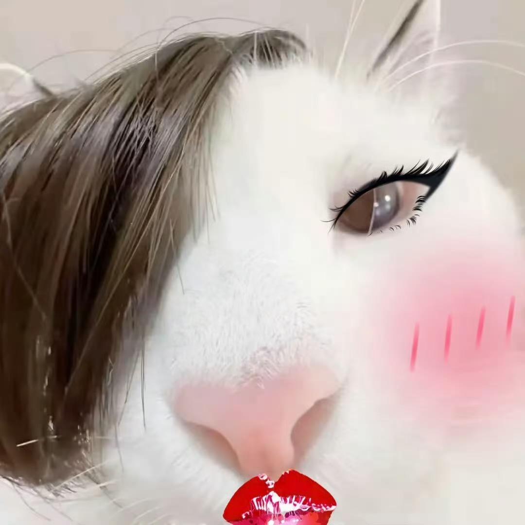 小小宿