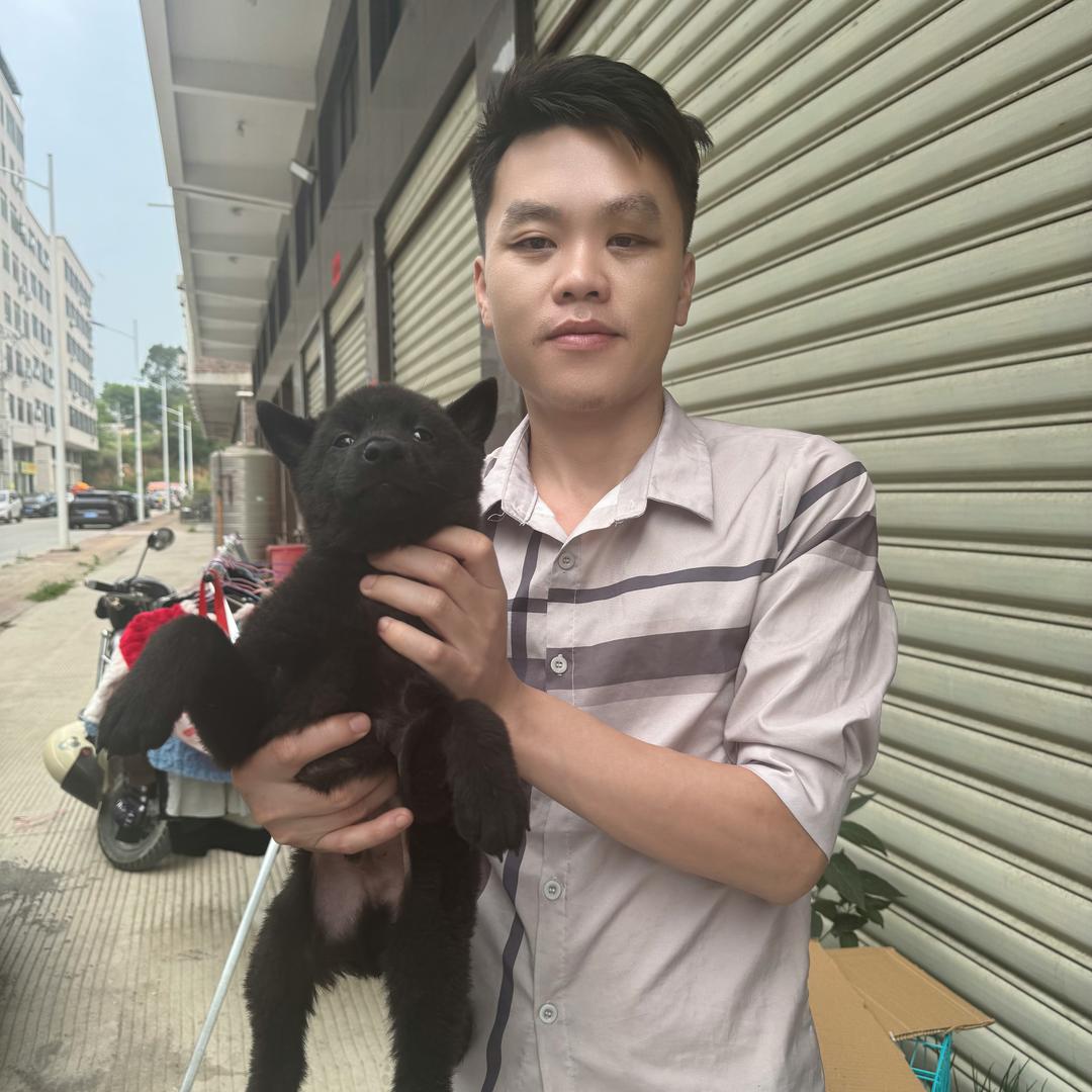 深山猎人(小王)