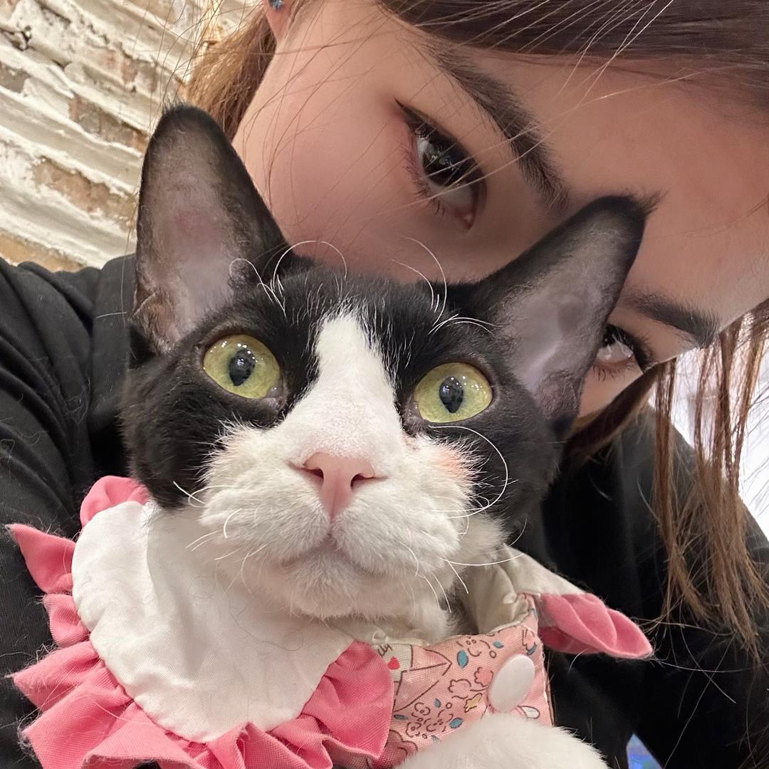 我爱吃虾🍤