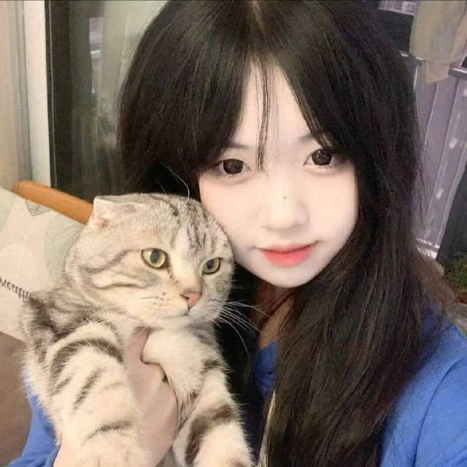 王者荣耀小灰
