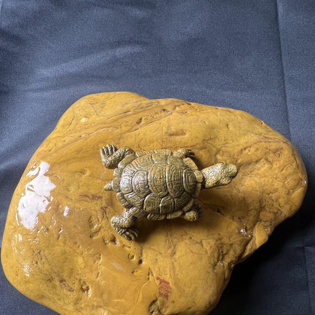 小信黄蜡石（乌龟晒台）