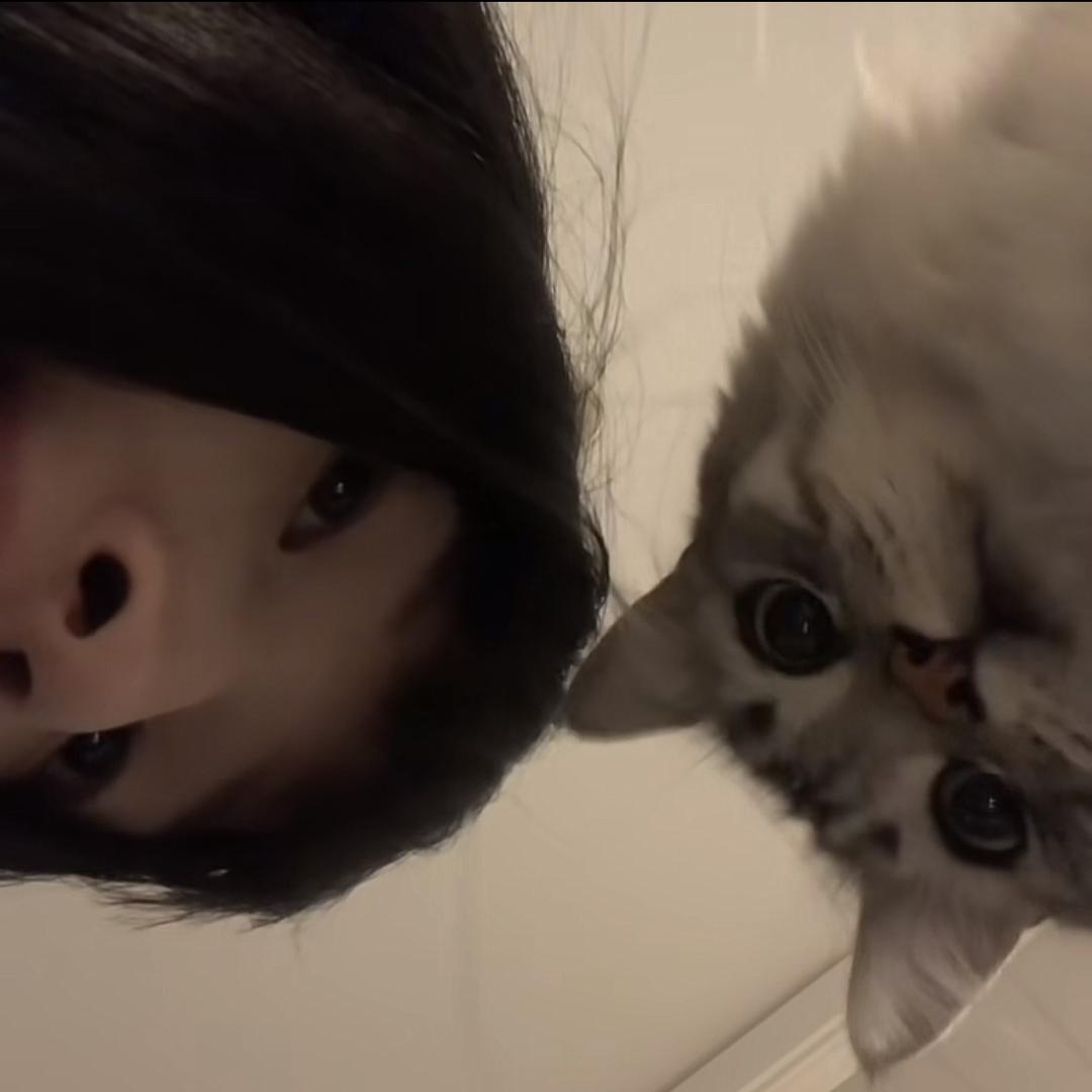 嫊