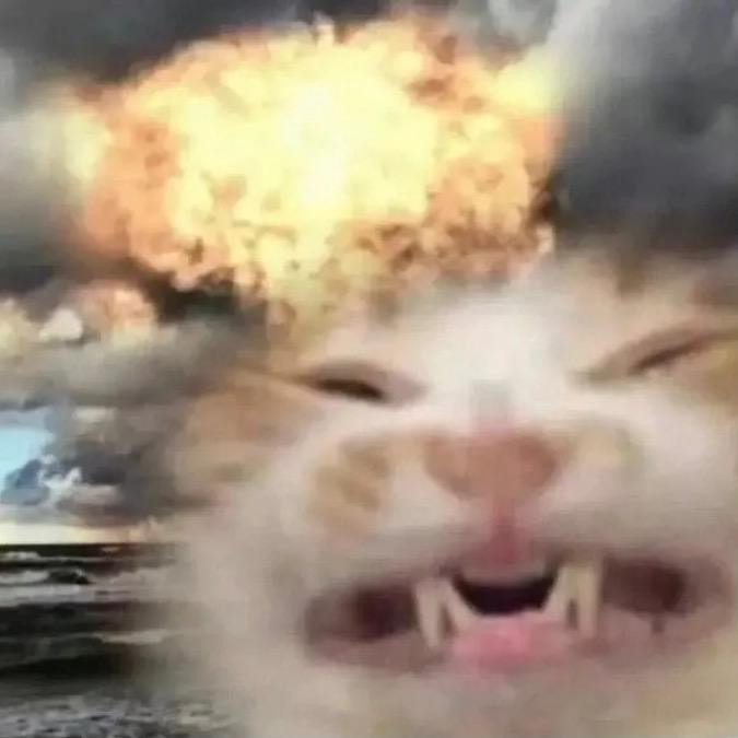 老腚蛋子