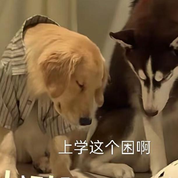 看一千次海