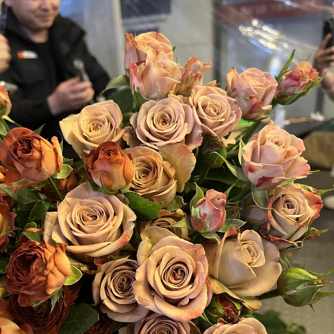 农兴鲜花店(呈贡区店)