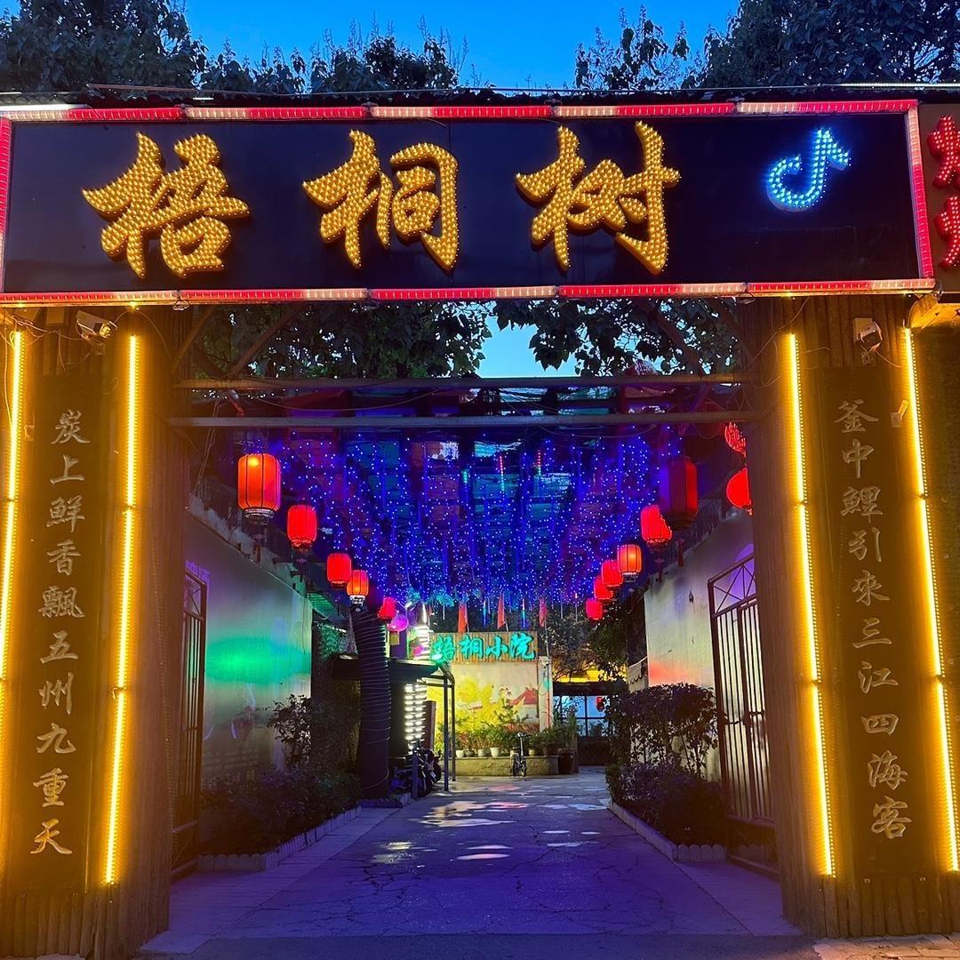鹿泉区 梧桐树🌲炒菜川菜 四季烧烤小院