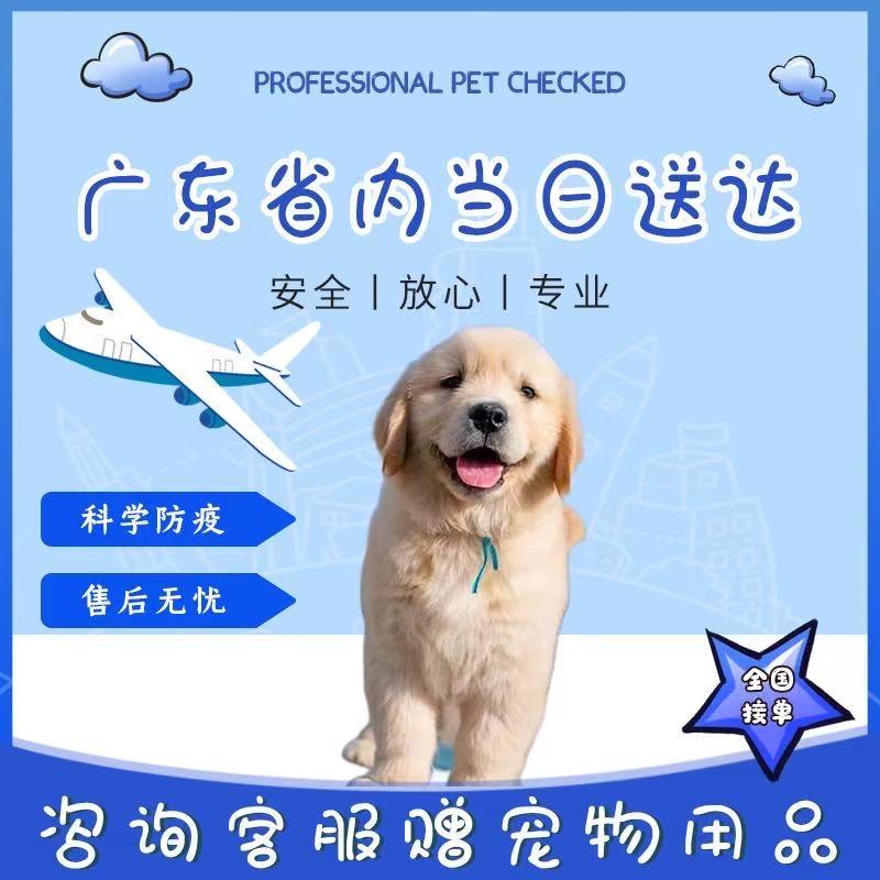 宠物乐园