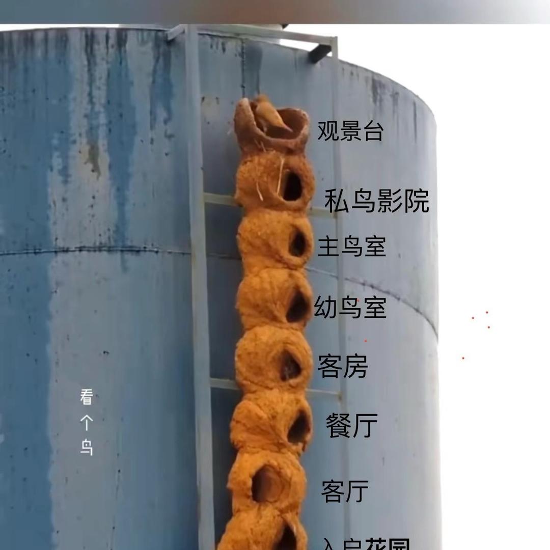 昆明大老李侃房