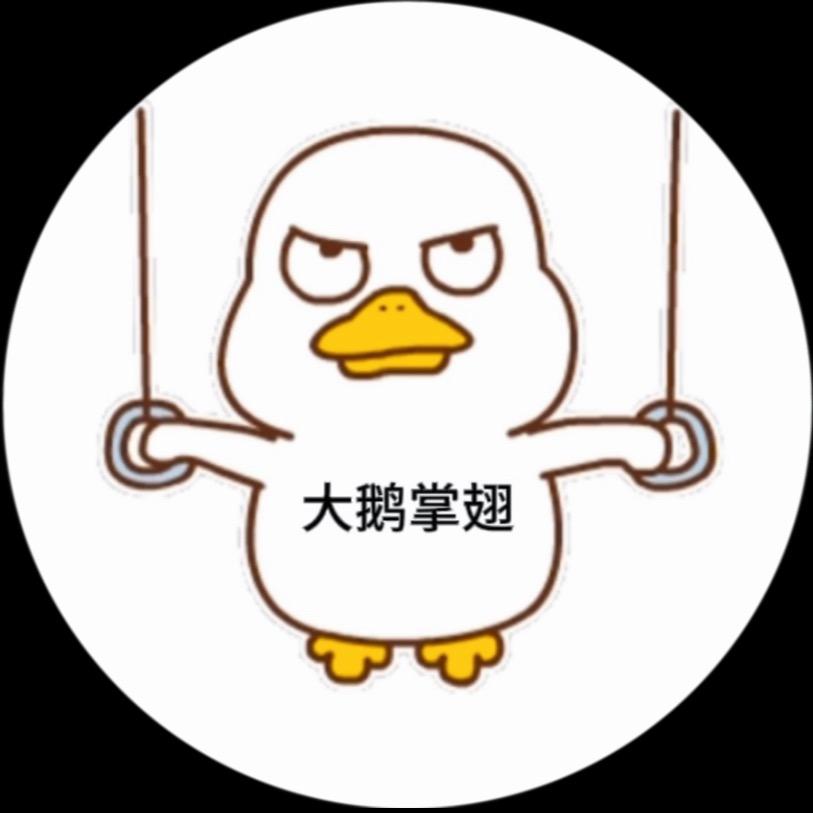 大鹅展翅无人机吊运