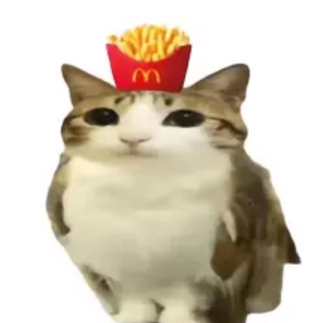 黛黛