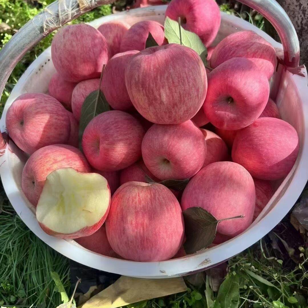 田园果香优选零售