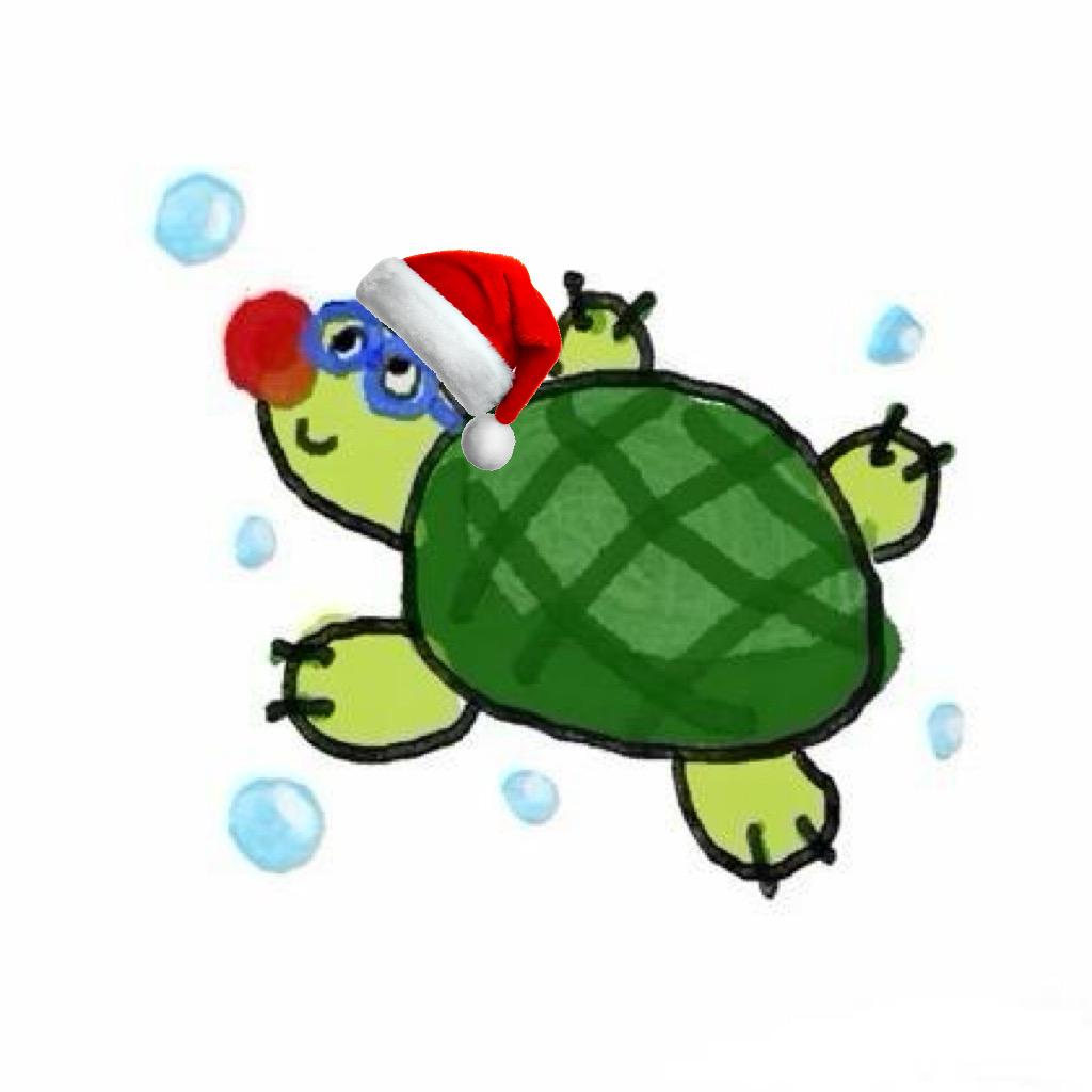绿毛龟🐢