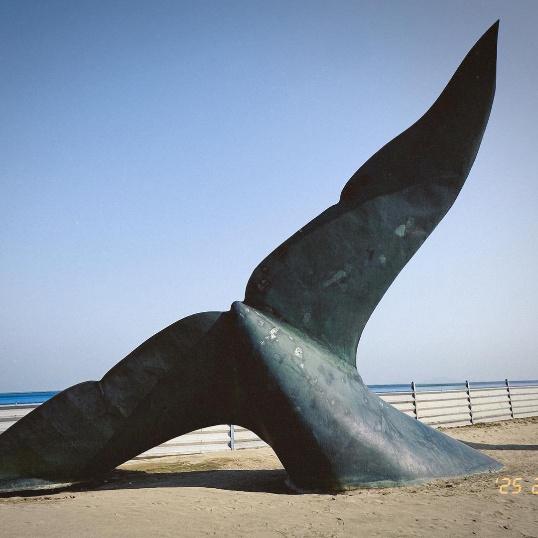 坦克是没有后视镜的