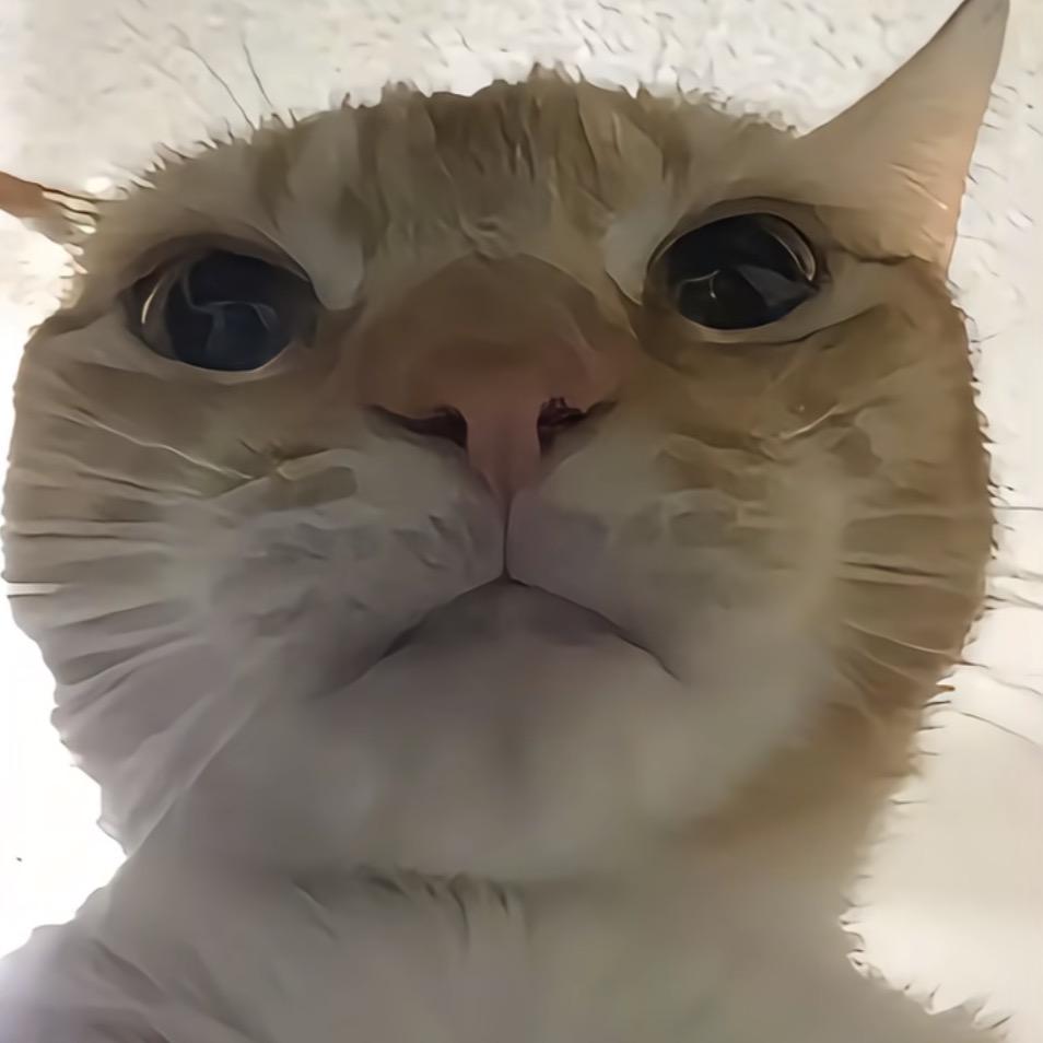 dAncer（go瓦洲三修-都是采购）