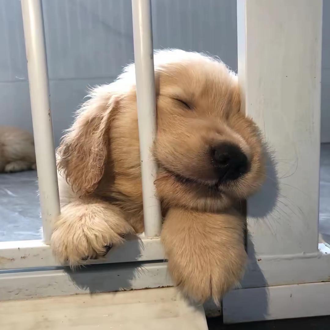 。。。。。。。。。。。。。。。。。。。。