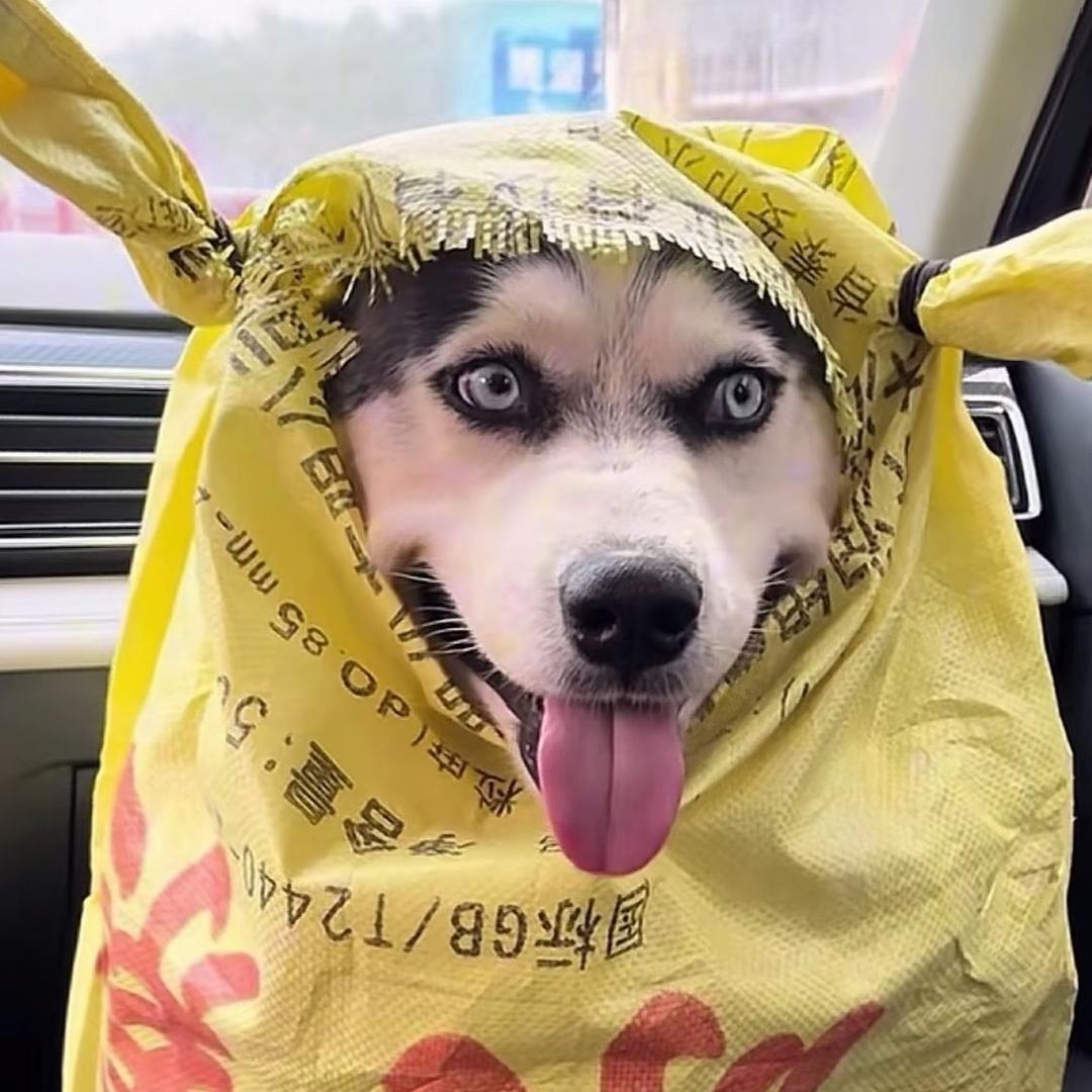 村口吃瓜老头ฅ೨ᐝ