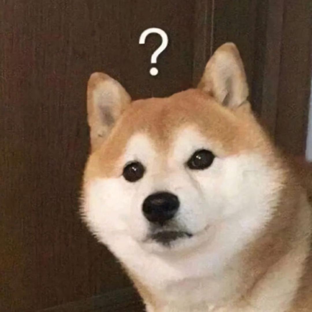 零食小哥