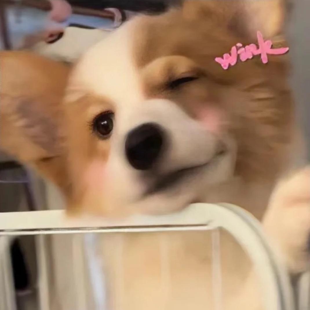 傲娇的才不是我.