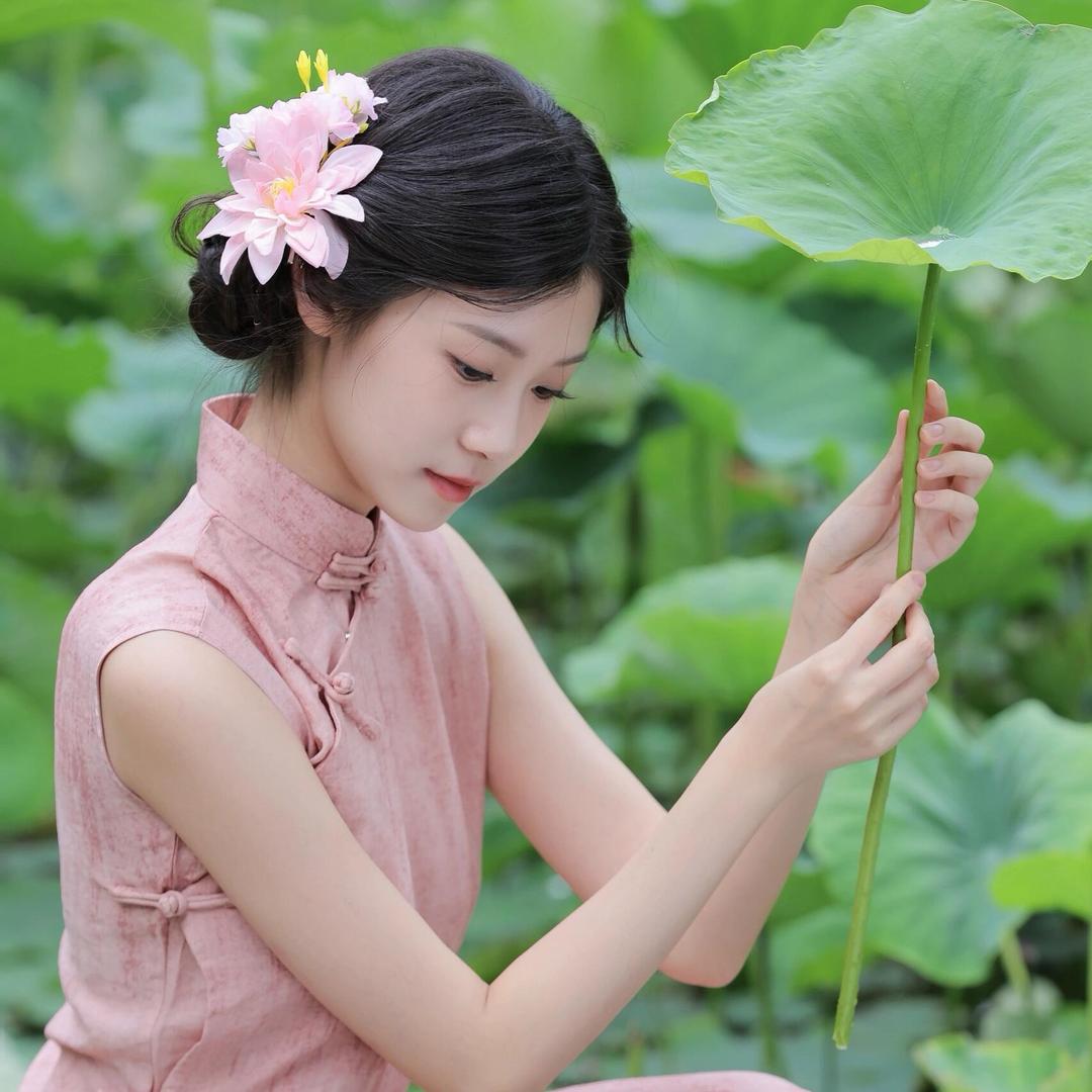 🪷荷花科技