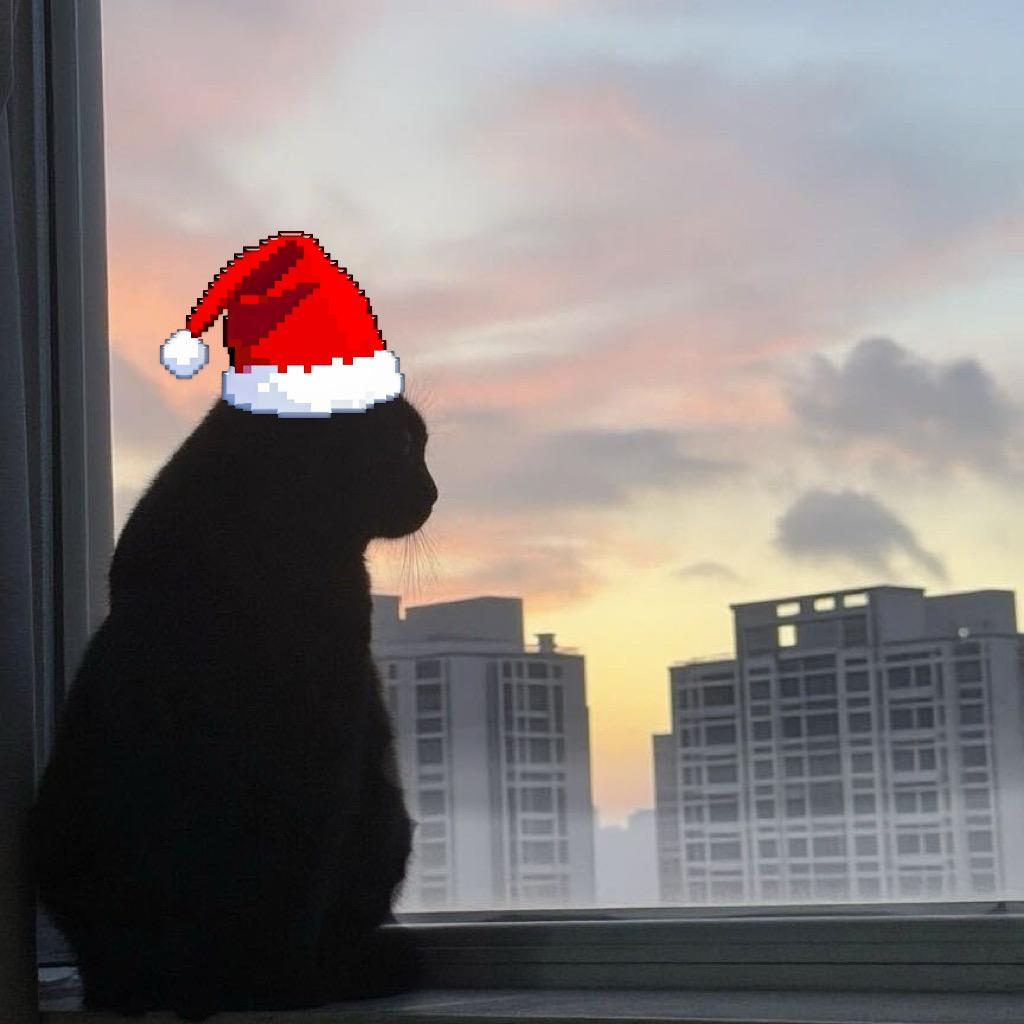 一只路过的猫头鹰