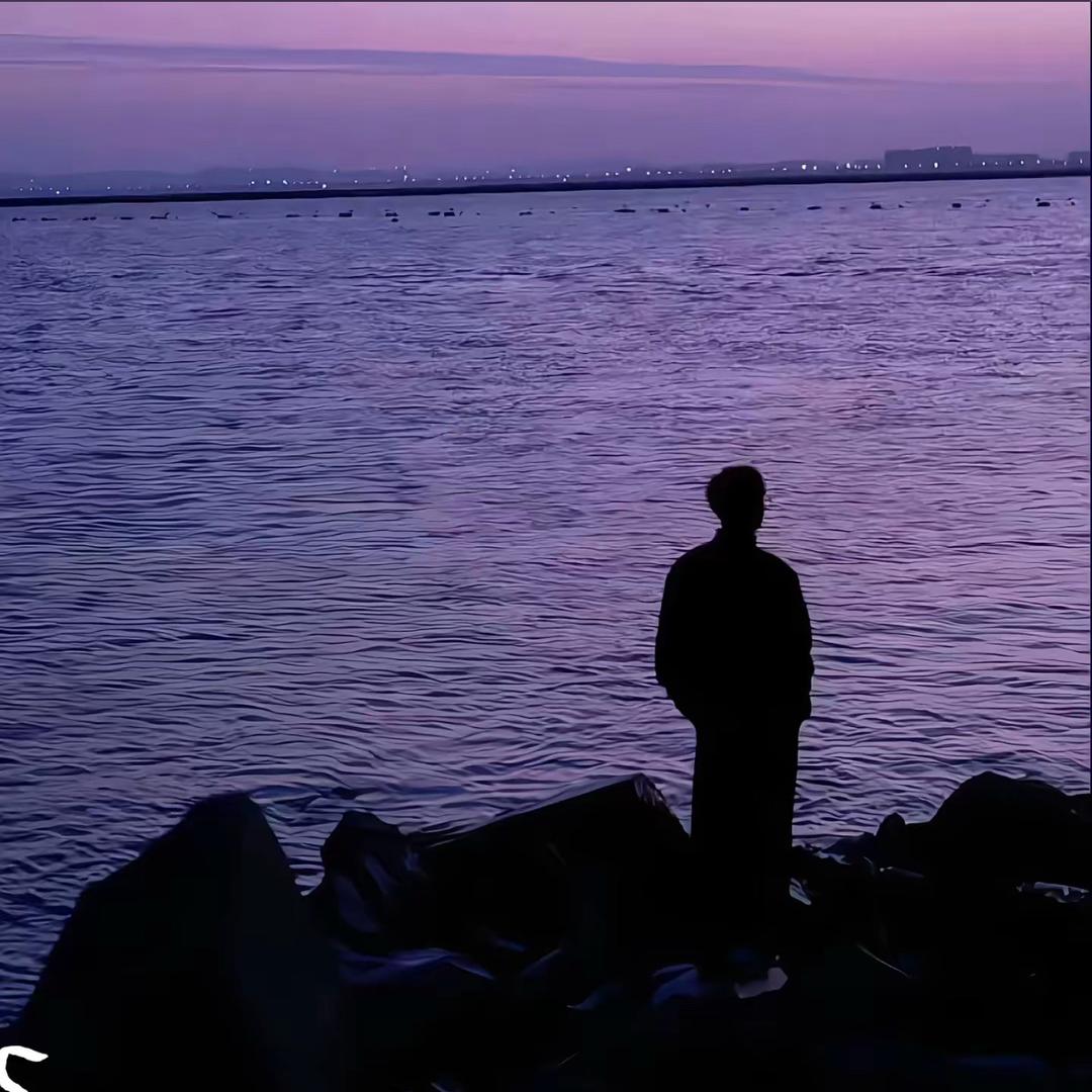 道禾-小鹏