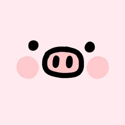 乖宝