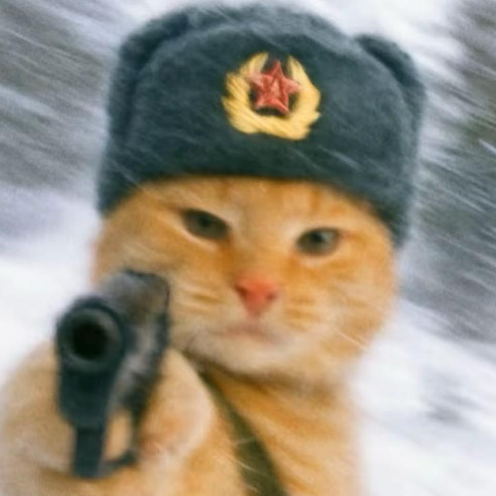 林艺柠