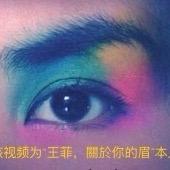 王菲，关于你的眉！